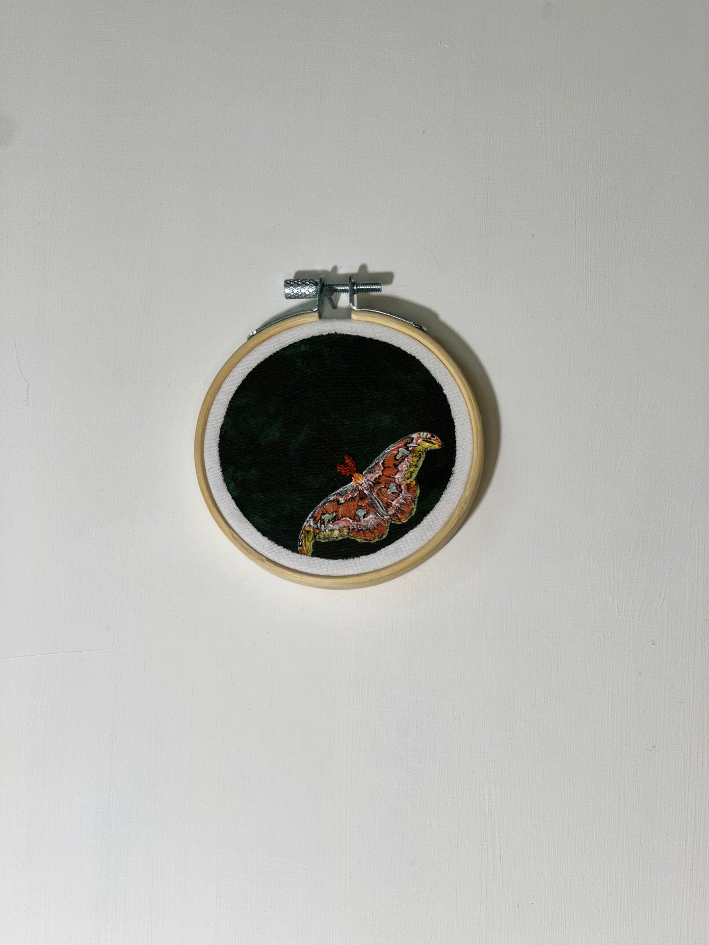 Atlas Moth - 3" Embroidery