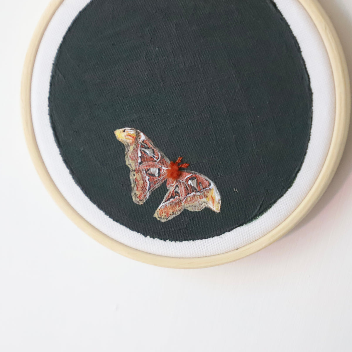 Atlas Moth Embroidery - 3"